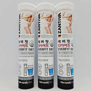 에버핏 다이어트 발포 가르시니아 20정, 6개