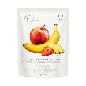 딜라이트 프로젝트 과일칩 4종중 택1 총3개 발송, 3개, 10g