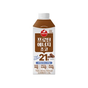 서울우유 프로틴에너지 초코 단백질음료 240ml x 8개