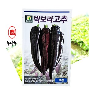 농사농 보라 종자 빅보라 고추 씨앗 10립, 1개