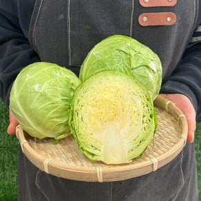 맛통령 달콤이 미니 양배추 (2~3통), 1박스, 1kg