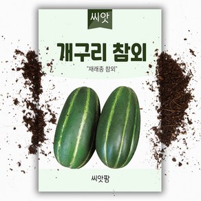 개구리참외 (50립), 1개