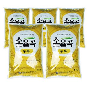 송학곡자 소율곡(수입밀) 전통누룩 1kg 막걸리 식초 제조, 5개