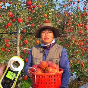 14브릭스 고당도 비경사과 비경부사, 1개, 2kg, 실속-중과 2kg(5-7)