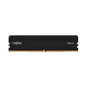 [마이크론] 마이크론 Cucial DDR5 PC5-44800 CL46 PRO 대원씨티에스 [16GB (16GB*1)] (5600), 마이크론 Cucial DDR5-5600 CL46 PRO 패키지 대원씨티에스 (16GB), 1개