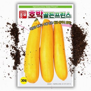 노란 쥬키니호박씨앗 (30립), 1개