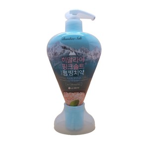 죽염 히말라야 핑크솔트 펌핑치약 아이스카밍민트 285g, 1개