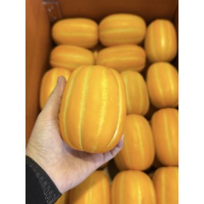 산지직송 성주 꿀 고당도 참외, 1박스, 2kg, [개별망x] 성주참외 못난이(혼합과)