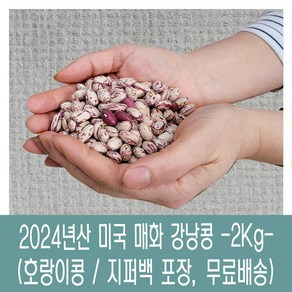 [다온농산] 수입 미국산 매화콩/매화강낭콩/호랑이콩/새알콩/얼룩강낭콩 -2Kg- 지퍼백, 2kg, 1개
