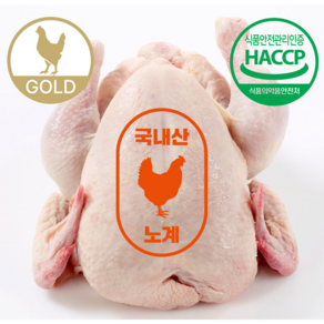 자이언트 닭 chicken (초대형 골드) 1마리 2.5kg이상, 1개, 2.5kg