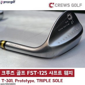 크루즈 골프 FST-125g S플렉스 샤프트 전문 웨지 최적스핀밀드(비공인), 모델 T-301 58도