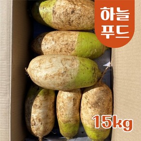 (15kg/Box) 국내산 무 식자재 KOREAN RADISH