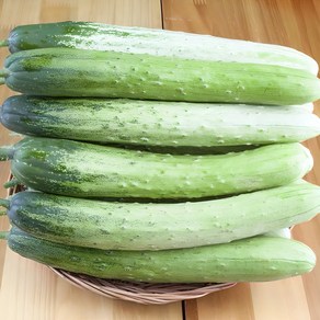 [재구매율1등]최고급원조품종 명품 백다다기 백오이, 1세트, 오이 1kg(개당 140-200g)