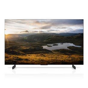 LG전자 올레드 evo TV 방문설치, 105cm(42인치), OLED42C3KNA, 벽걸이형