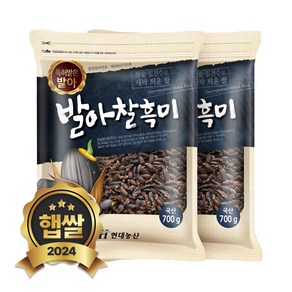 현대농산 국산 발아찰흑미 1.4kg (700gx2봉), 2개