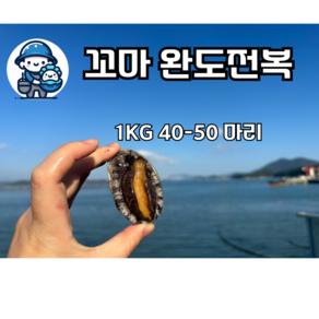 완도전복 1kg 40-70마리 꼬마전복 (생산자직송)