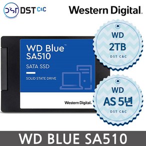 [WD공식판매점] WD Blue SA510 SSD 2TB 정품 A/S 3년