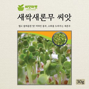 다농 새싹 새론무 씨앗 30g, 1개