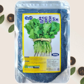 월동춘채씨앗 400g 겨울배추 하루나 종자, 1개