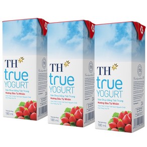 TH TRUE YOUGURT 베트남 TH 요구르트 | 딸기맛 요구르트