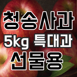 청송사과선물세트 5kg 특대과 24년 햇사과 부사, 1박스, 청송사과선물세트 5kg 특대과 (9과~11과)