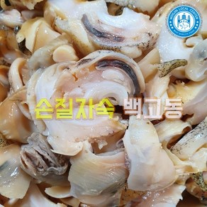 [우진로컬센터]울진 백고동 자연산 손질 자숙 백고동 500g 백골뱅이, 손질자숙백고동 500g, 1개