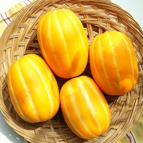 [재구매율1위] 요정의맛 최고당도 성주 참외, 1박스, 옵션5_혼합과 10kg