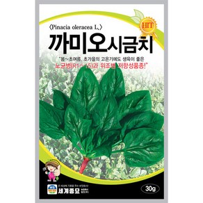 까미오 시금치 씨앗 30g 채소 세계, 3개
