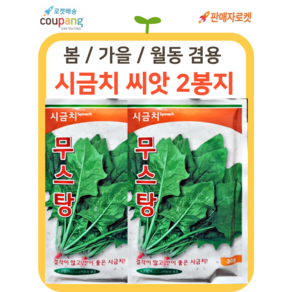 씨드림몰 시금치 씨앗 봄 가을 겨울 월동 섬초 노지 30g, 2개