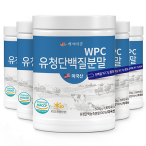 WPC 유청단백질 분말 500g 통 미국산100% HACCP 인증제품