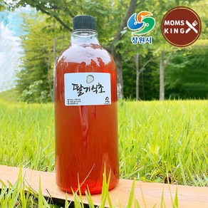 [창원몰]발효순이 수제로 만든 딸기식초 가당 500ml