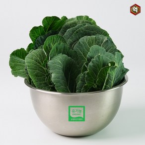 [억수로상회] 즙용 유기농 케일 (당일수확 산지직송), 4개, 1kg