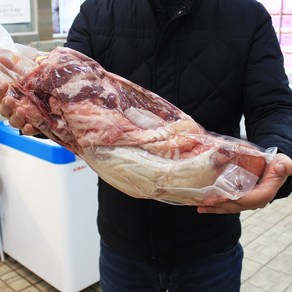 꿀맛컴퍼니 한우 우설(냉동) 1.5kg 내외