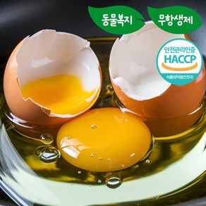 [동물복지/무항생제/HACCP] 난각번호1번 유정란 자연방사 자연방목, 1개, 40구