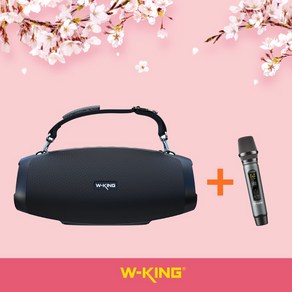 W-KING 더블유킹 MT BOX D10 캠핑 블루투스 스피커 야외용 방수 IPX6 노래방, MT Box D10 스피커+무선마이크 M6