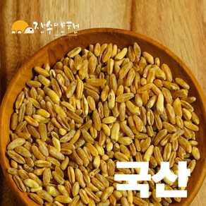 국산 호라산밀 전라남도 강진군 24년 수확한 햇곡, 1개, 1kg