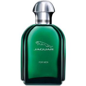 일본직발송 6. JAGUAR(ジャガー) 재규어 재규어 포멘 EDT 100ML B001SEWBG8