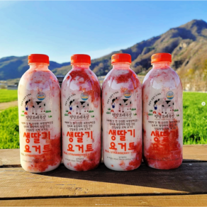 평창보배목장 생딸기 요거트 1000ml 딸기 요거트 요구르트