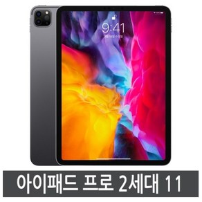 아이패드 프로 4세대(2세대) 11인치 128GB 256GB 정품, 와이파이