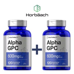 호바흐 알파 GPC 600mg 120캡슐 2통 콜린알포세레이트