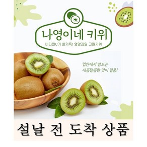 그린키위 총판, 1박스, 5kg 대 80~100g