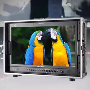 씨텍 SEETEC 21인치 4K 디렉터 카메라 프리뷰 모니터 P215, 21인치 HDMI 버전 + 배터리+10m케이블