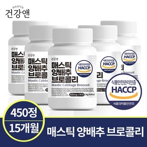 매스틱 양배추 브로콜리 22종 혼합 유산균 식약청인증 HACCP 건강앤, 5개, 90정, 90정