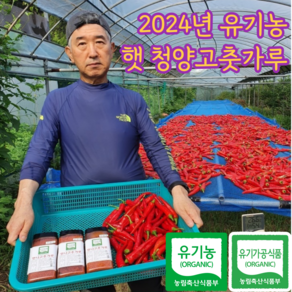 유기농 태양초 햇 청양고추가루, 2개, 250g