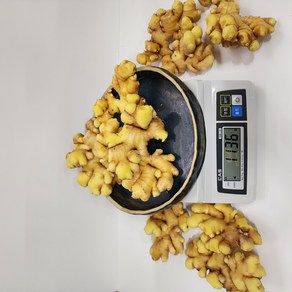 생강 햇생강/깐생강/세척생강/흙생강 24년 국산 1kg, 세척생강_특품, 1개, 세척생강_특품 1kg