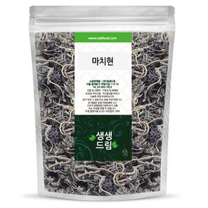 쇠비름 마치현 300g 국산 국내산, 단품, 1개