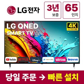 LG전자 65인치 QNED 4K UHD 스마트 TV 65QNED80, 방문설치, 벽걸이형, QNED80