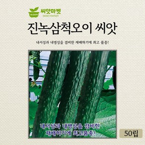 KS종묘 진녹삼척오이 씨앗 50립 내서성 내병성을 겸비한 국내산 고급품종, 1개