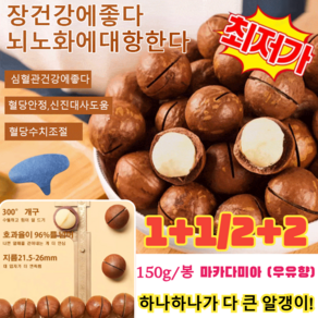 1+1/2+2 다미아햇 껍질다미아 다미아 (우유향), 150g*2+2, 150g * 2 + 2