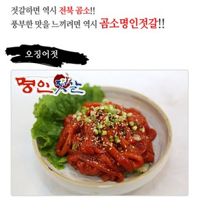 곰소젓갈 오징어젓500g 남녀노소 누구나 즐기는 오징어젓 명인젓갈, 500g, 1개